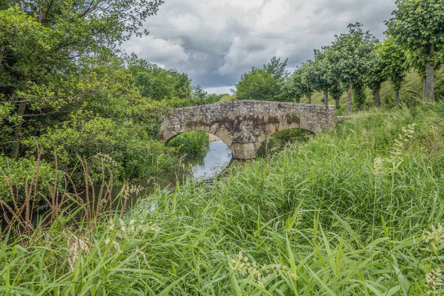 Les randonnées en Pays de Loire : entre histoire, nature et patrimoine